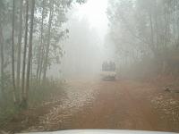 BURUNDI - Up-country safari 8